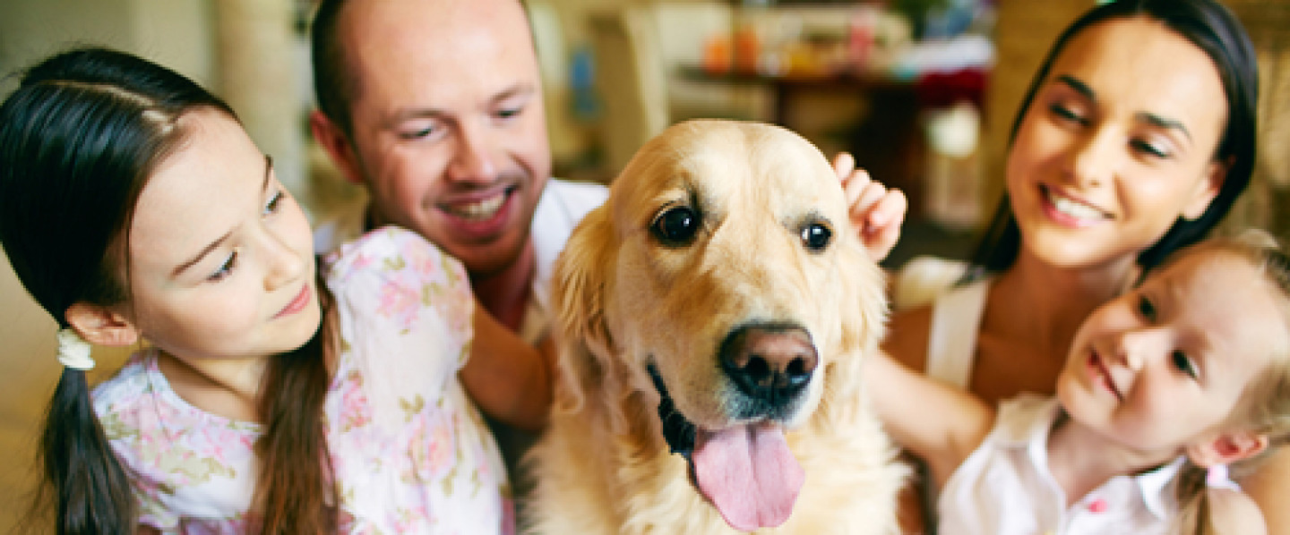 Helping Your Pet Live a Healthier & Longer Life